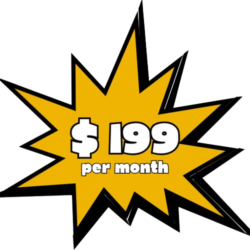 $199 per month Ongoing Google Business Profile Management