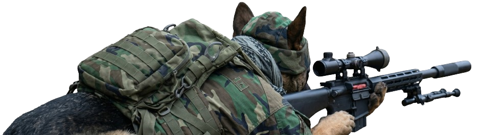 K9 simple sniper