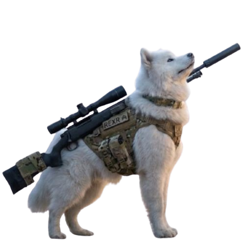 simple sniper guy 2