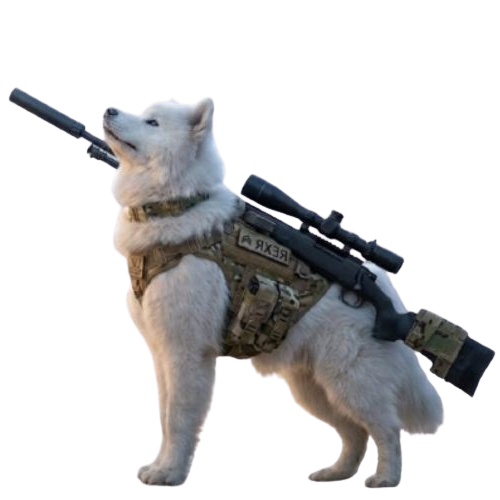 simple sniper guy